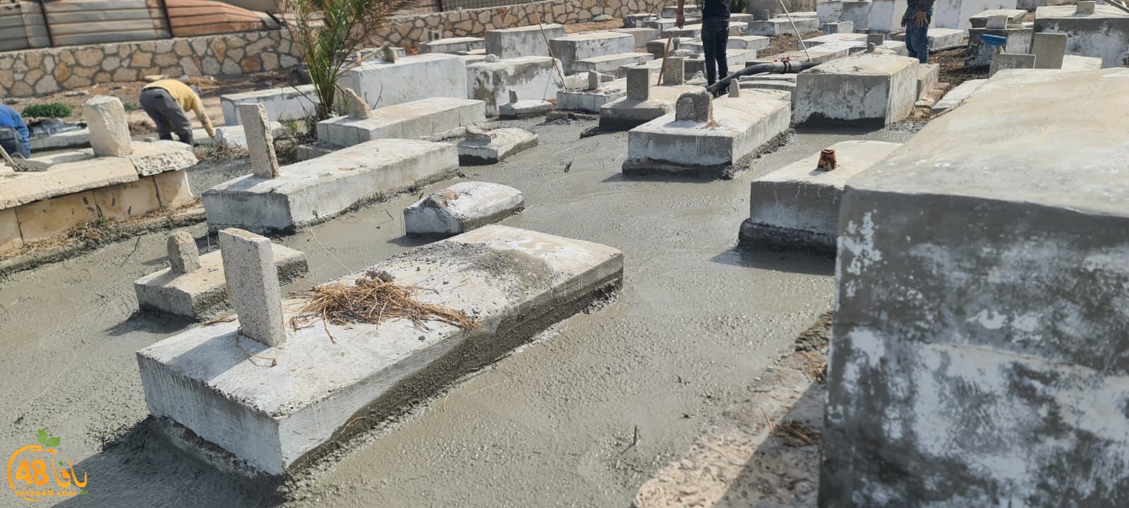 WhatsApp Image 2023-06-03 at 10.12.38 AM (1).jpeg